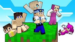 Berca Vs Mi̇necraft