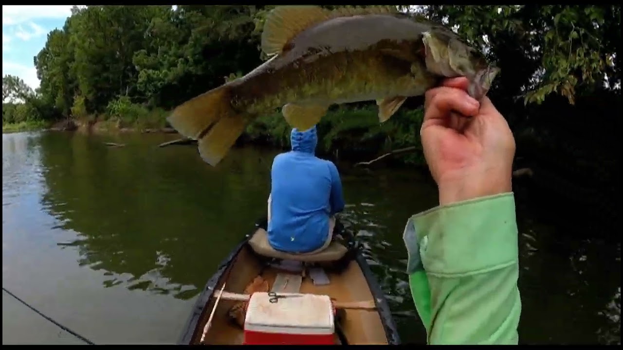 2024 08 10 Osage Creek