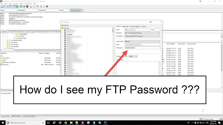 How to See Filezilla FTP Password