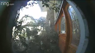 Caught On Camera: Tree Crashes Into Home