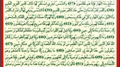 يوسف بن نوح أحمد سورة يس