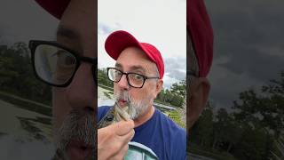 MONSTER Largemouth Bass Fishing that Kiss Lol