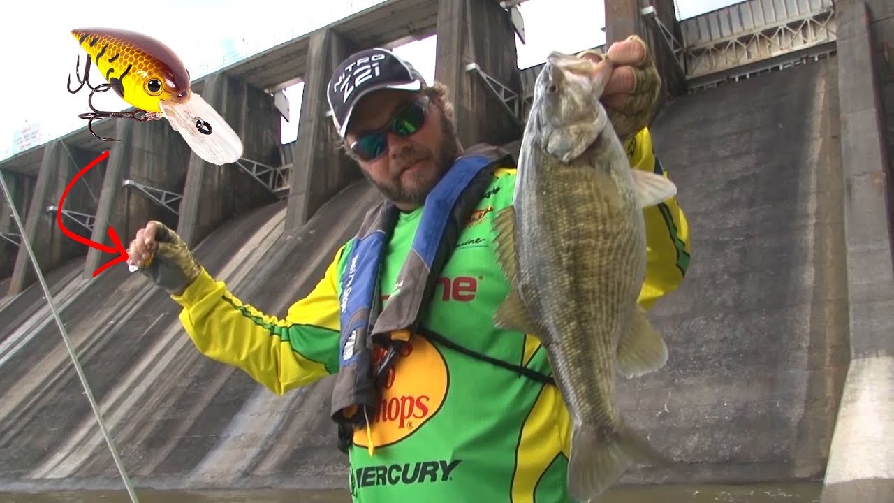 Imitate Crawfish with a Crankbait YouTube