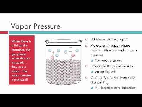 Evaporation, Vapor Pressure and Boiling