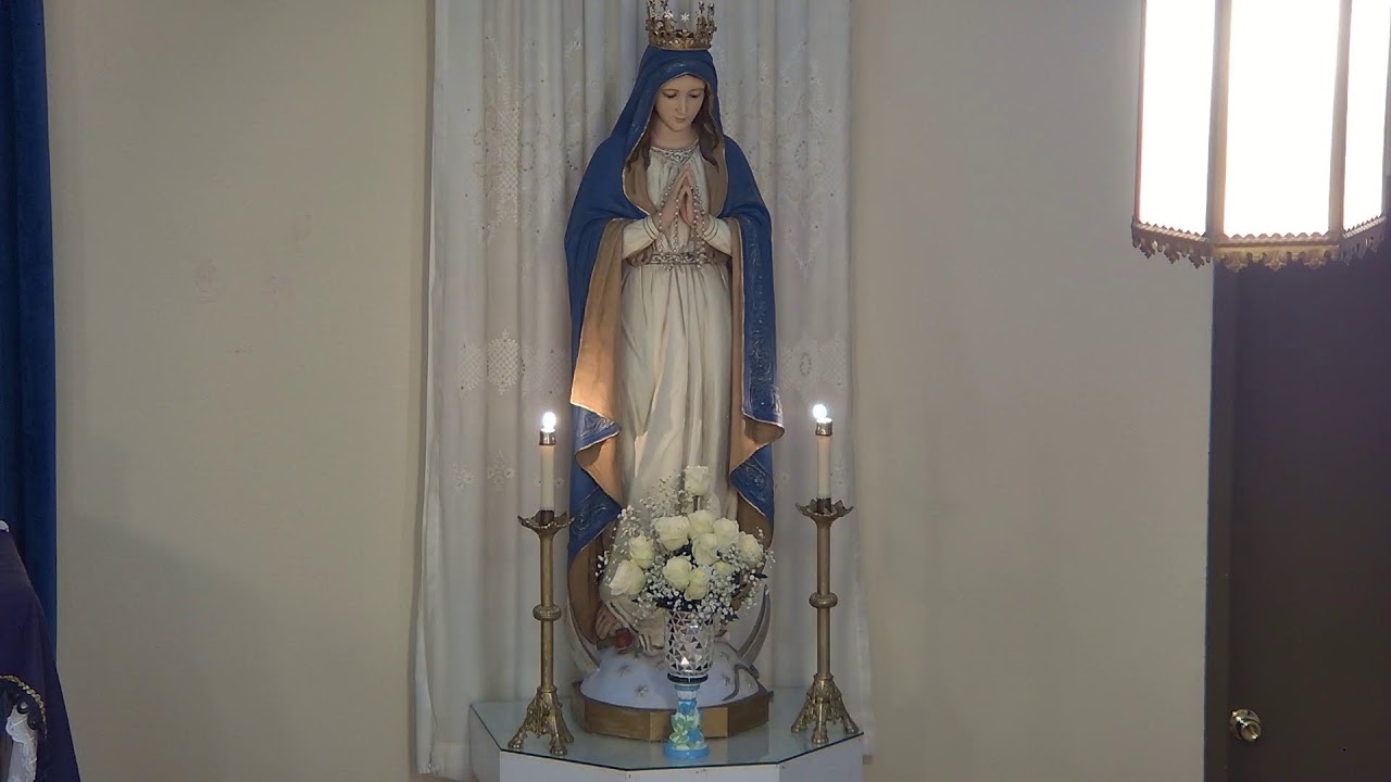 Rosary, February 22, 2024