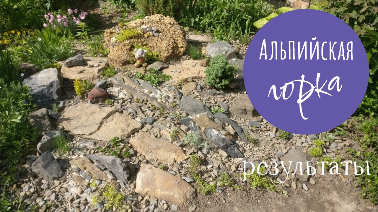 Альпийская горка🌲🌻 - YouTube