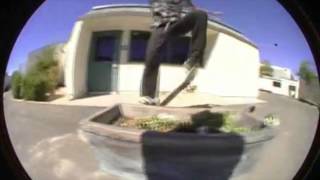 Dylan Jenkins 2014 Throwaway