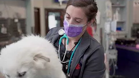 Meet Dr. Marissa Kent