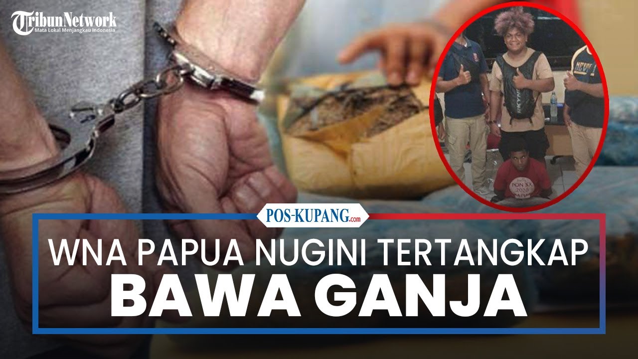 WNA Asal Papua Nugini Tertangkap Tangan Bawa Ganja di Kota Jayapura