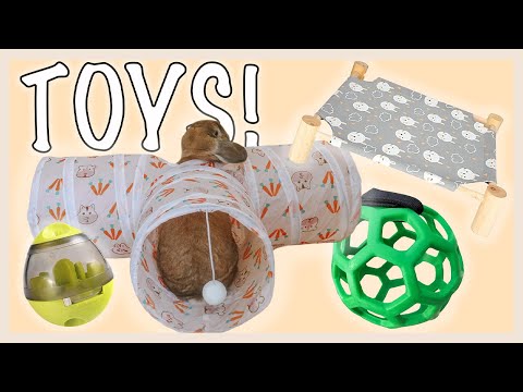 वीडियो: खरगोशों के लिए खिलौने