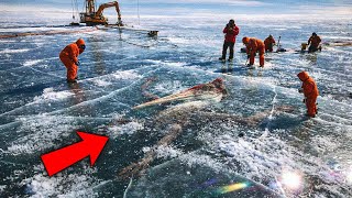 Download Lagu FROZEN FOR EONS: Prehistoric Creature Discovered Beyond Antarctica’s Ice Sheet MP3