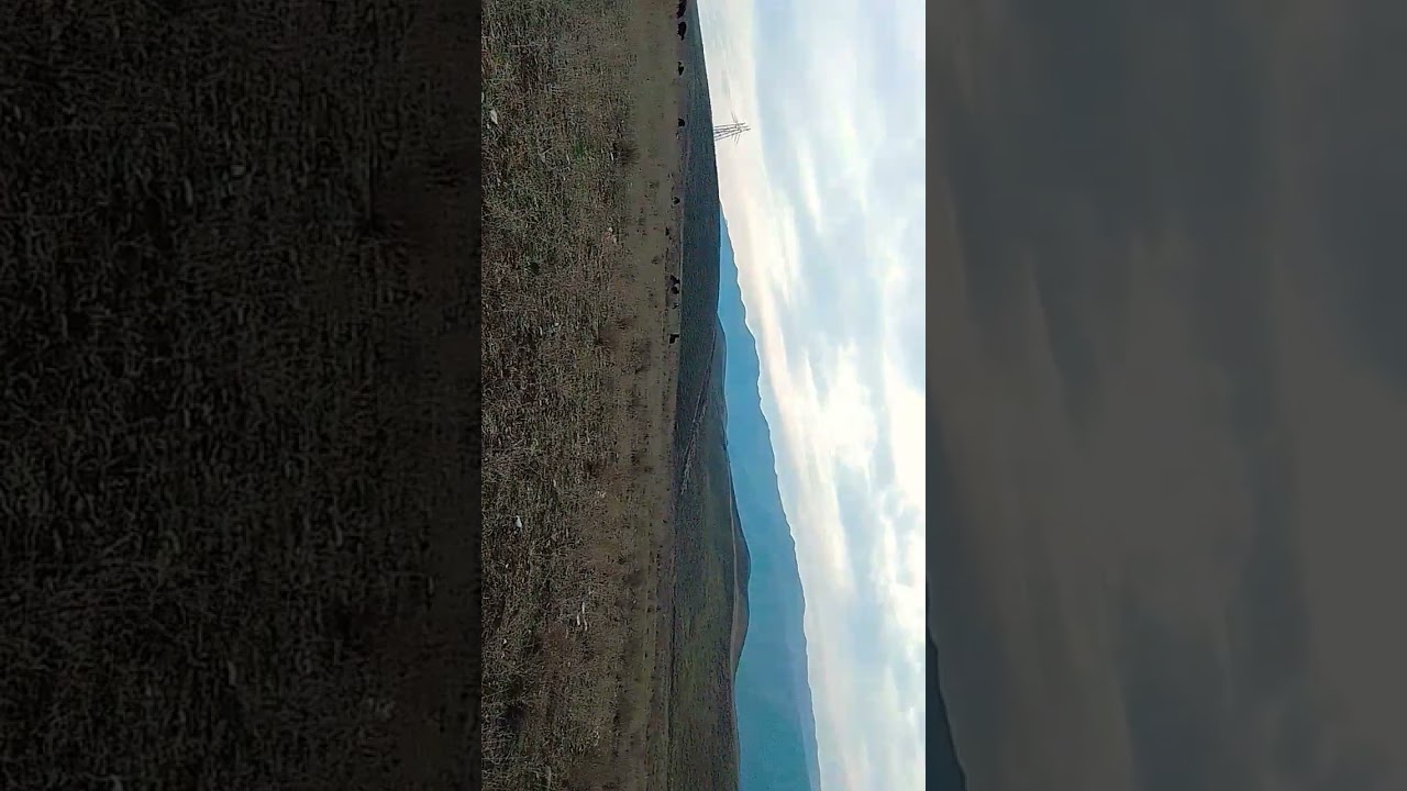 2 января 2026 г.