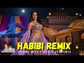 Habibi Belly Dance Arabic Remix 2025 Best Belly Dance Arabic Songs Compilation 