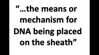 Defense Trial Brief & "Chain of Custody" of Sheath, Idaho v Kohberger (Opinion)