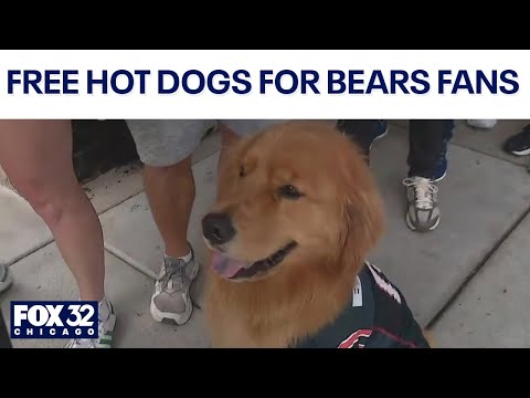 Bears fans lineup for free hot dogs after Caleb Williams' big day