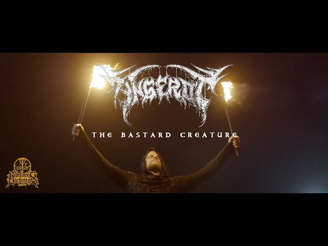 Angerot - Bastard Creature