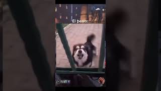 POR ESO NO TENGO PERROS! 😭😭 #stuffy #humor #stuffyplays #memes #gaming #darktide #fyp
