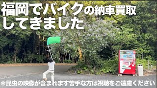 虫取りですか?いいえ「バイクの納車買取です!」九州最高!