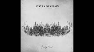 Bobby Cool - Waves Of Grain (Acoustic)