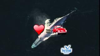 15 Second Science - Lots of heart