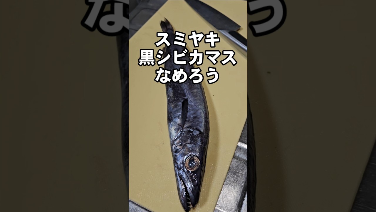 べらぼうに旨い！スミヤキ(クロシビカマス)なめろう 深海魚 魚料理 おつまみレシピ 簡単捌き方