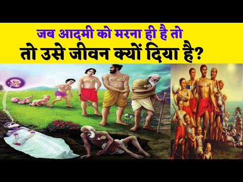 वीडियो: जीवन और मृत्यु ब्रिगेड क्या है?