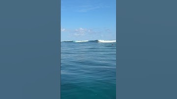 Maldives Surf 💙💙 #maldives #waves #surf #surfing #youtubeshorts #shorts #explore #foryou #viral