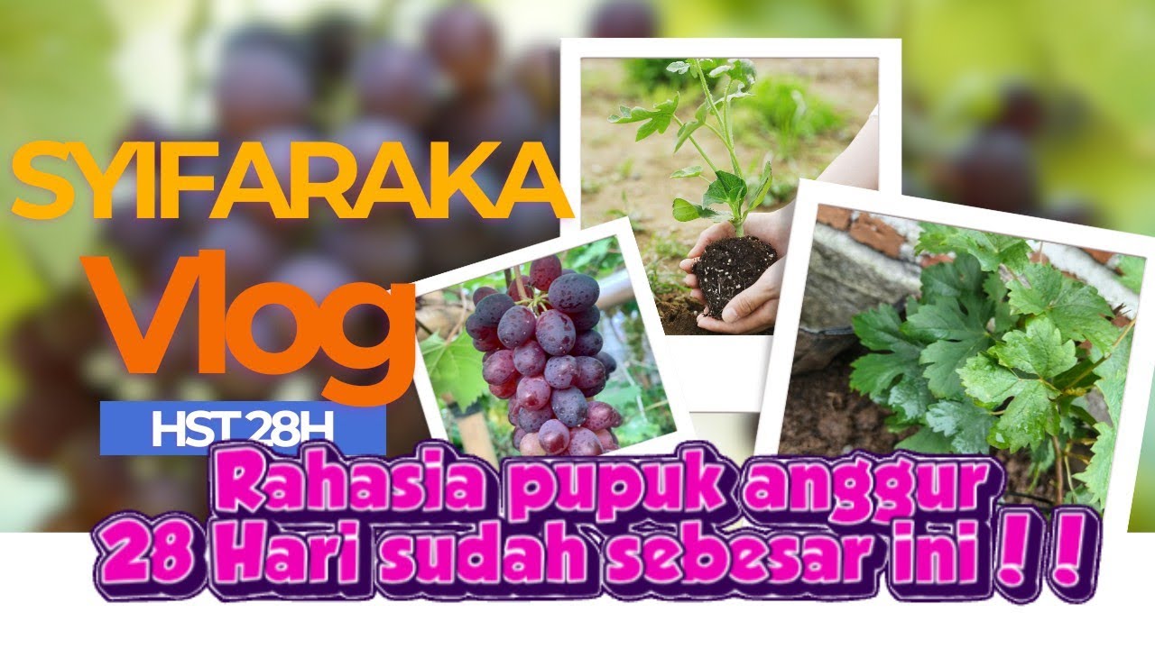1 Maret 2026