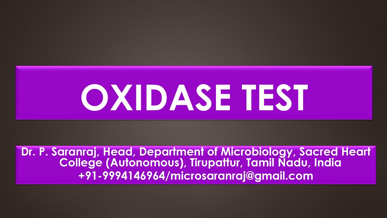 Oxidase test - YouTube