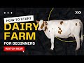 How to start dairy farming for beginner  cow farming guide  everything you need to know