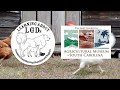 Learning About LGDs OnSite: LGD and Poultry Learning About LGDs OnSite: LGD and Poultry