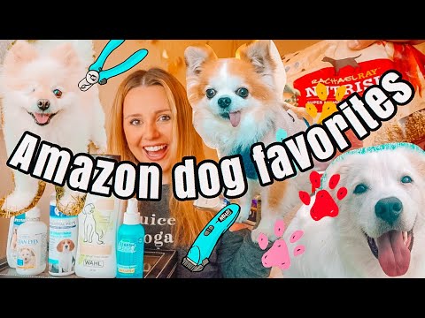 amazon-favorites:--dog-must-haves!