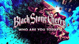 Black Stone Cherry - Who Are You Today (Screamin&#39; At The Sky)