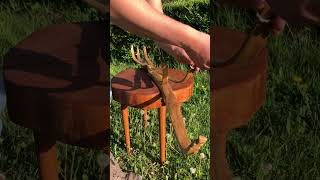 Handcrafted Beast of a Bow 👹🏹 #archery #bowandarrow #craft