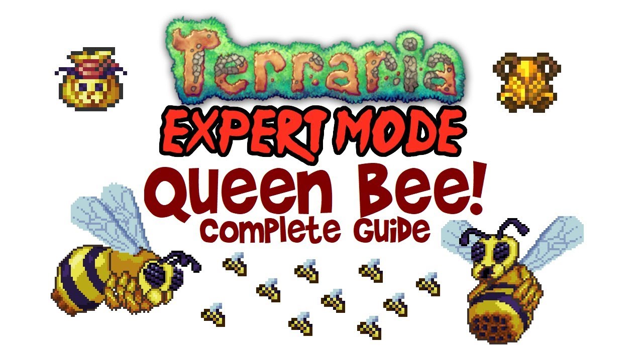 Queen Bee Expert Mode Tierlist/ Guide