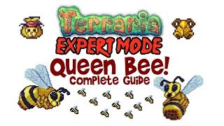 Terraria Queen Bee Expert Guide (+Normal too! Drops, Boss Fight, How to Summon, Abeemination)