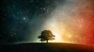 Dr. Music | Melodic Chillstep Mix (Relaxing chill music) screenshot 4