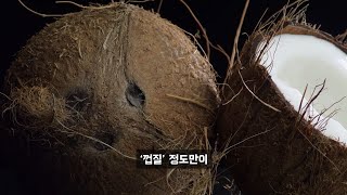 인류에게 가장 유용했던 열매