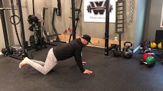 Eccentric CG Pushups