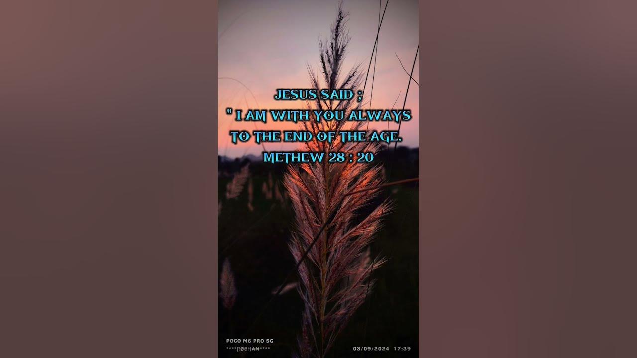 Jesus Said || #jesus #jesuschrist #music #bible #verse #trending #viralvideo #shortvideo #feedshorts
