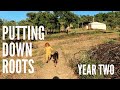 Living our dream life, off-grid in Central Portugal - Year two