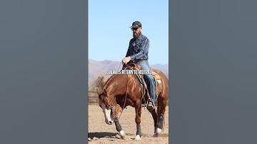 I always return to "Get your horse Straight."#reining #horsetrainingtips