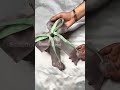 Korean Tulips 🌷 bow 🎀 #scrunchies.mall #hairgoals #handmade #scrunchieshop #hairbows