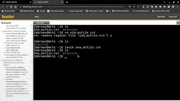 TestOut LabSim using Linux Shell Commands