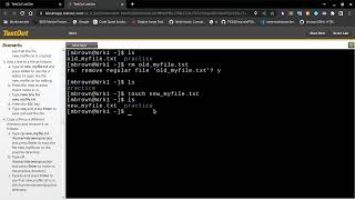TestOut LabSim using Linux Shell Commands
