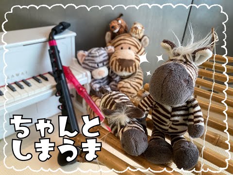 ちゃんとしまうま
