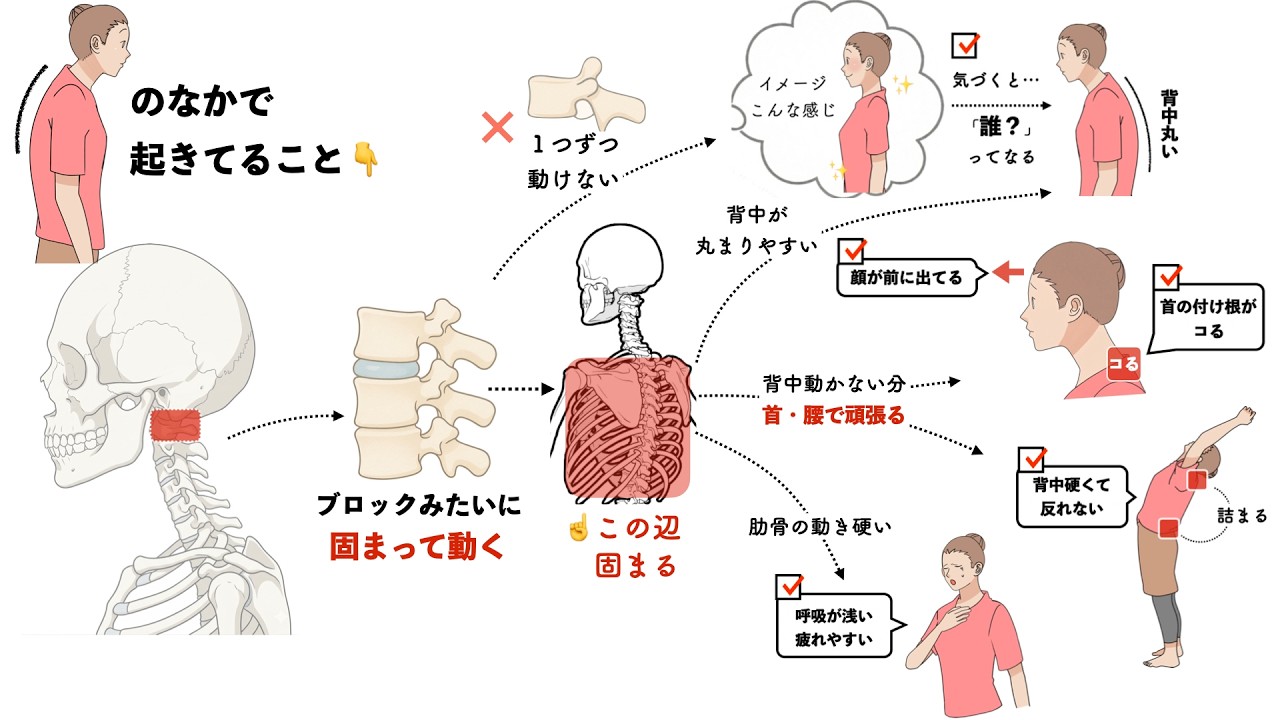 【猫背・首こり・姿勢改善】背すじを伸ばしやすくする意外なポイント|耳を使ったセルフ整体