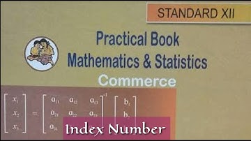 Index Numbers,12 Commerce Practical