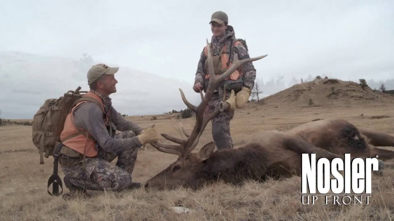 Elk Hunting Cartridges And Calibers - Randy Newberg'S Thoughts