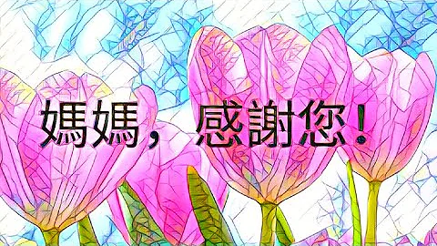 🌹母亲节祝贺💝母亲节的祝福语🎵母亲节快乐 2022🌹给妈妈的祝福🎁母亲节短信💌母亲节感谢 妈妈我爱你💝妈妈感谢你🎆母亲节祝贺💝母亲节的祝福 - 天天要闻